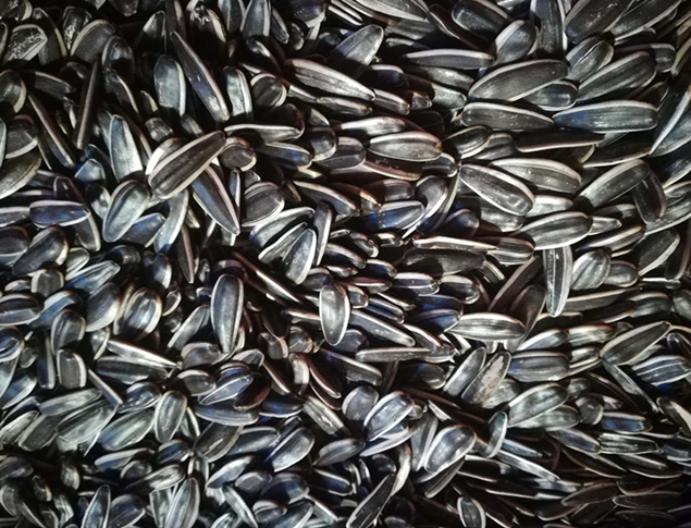 好料